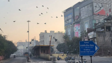 Photo of पंजाब में शीतलहर को लेकर यलो अलर्ट जारी
