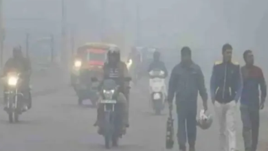 Photo of मध्यप्रदेश ठंड की चपेट में, पारा 3 डिग्री तक गिरा