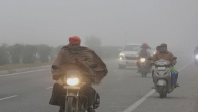 Photo of पंजाब में शीतलहर और कोहरे की दोहरी मार