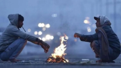 Photo of हरियाणा में घने कोहरे का अलर्ट