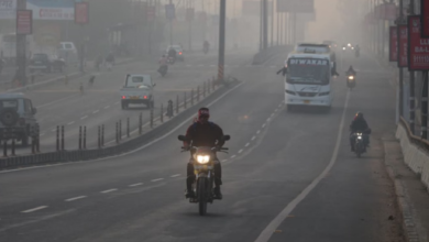 Photo of एमपी में नवंबर वाली सर्दी ने तोड़े रिकॉर्ड, दिसंबर से कड़ाके की ठंड