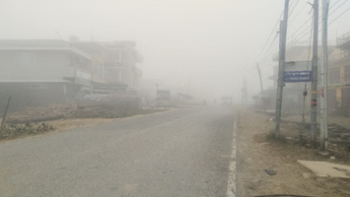 Photo of पंजाब में  घने कोहरे का अलर्ट:  तापमान में भी आएगी गिरावट