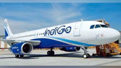Photo of दिल्ली के IGI एयरपोर्ट पर यात्रियों की बढ़ी मुश्किल