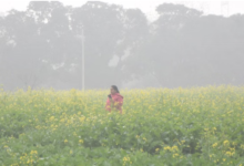 Photo of पंजाब में शीतलहर से गिरा पारा, तापमान में 2 डिग्री तक