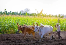 Photo of हरियाणा में किसानों के लिए हाई-टेक सर्वे शूरु