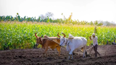 Photo of हरियाणा में किसानों के लिए हाई-टेक सर्वे शूरु