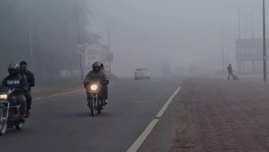 Photo of पंजाब में ठंड से राहत, सुबह-शाम हल्की होगी धुंध