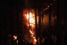 Photo of उत्तराखंड हाईकोर्ट ने जंगल की आग पर विशेषज्ञों से मांगा     मार्गदर्शन