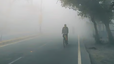 Photo of पंजाब के आठ जिले शीतलहर की चपेट में 72 घंटे का येलो अलर्ट