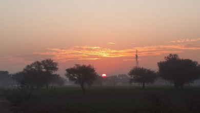 Photo of हरियाणा में बढ़ने लगी ठिठुरन: दिन में राहत; रात में सर्द हवाओं का सितम