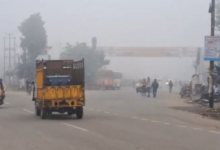 Photo of पंजाब में घने कोहरे का अलर्ट: 13 जिलों में धुंध से बढ़ेगी दिक्कत