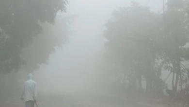 Photo of यूपी मे सर्दी और कोहरे को लेकर अलर्ट जारी