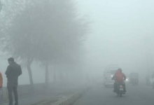 Photo of मध्य प्रदेश में बढ़ी सर्दी,11 शहर 10 डिग्री से नीचे