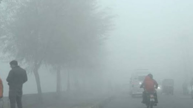 Photo of मध्य प्रदेश में बढ़ी सर्दी,11 शहर 10 डिग्री से नीचे