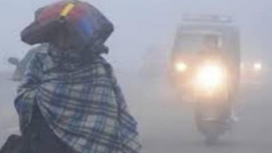 Photo of हरियाणा में ठंड से जन-जीवन अस्त-व्यस्त, 8 जिलों में छाई धुंध…जानें कल कैसा रहेगा मौसम