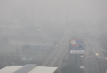 Photo of 4.9 डिग्री पर ठिठुरा इंदौर, कोहरे ने रोकी ट्रेनों की रफ्तार, फ्लाइट्स भी हुई कैंसिल