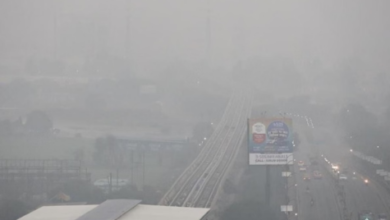 Photo of 4.9 डिग्री पर ठिठुरा इंदौर, कोहरे ने रोकी ट्रेनों की रफ्तार, फ्लाइट्स भी हुई कैंसिल