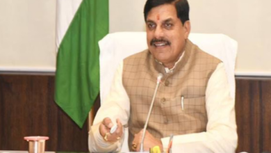 Photo of मुख्यमंत्री डॉ. मोहन यादव आज करेंगे 11वें अंतरराष्ट्रीय हर्बल वन मेले का शुभारंभ