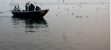 Photo of पूरा प्रदेश में ठंड और कोहरे की चपेट में, इन 20 जिलों के लिए जारी हुआ रेड अलर्ट