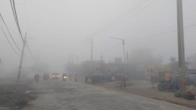 Photo of पंजाब में घने कोहरे की मार: अमृतसर में दृश्यता शून्य, 20 दिसंबर से बारिश का अलर्ट
