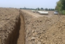 Photo of राजस्थान में ‘सेम’ की बढ़ती मार; 2 लाख हेक्टेयर कृषि भूमि प्रभावित