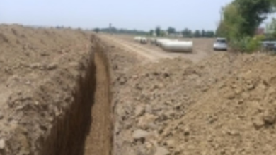 Photo of राजस्थान में ‘सेम’ की बढ़ती मार; 2 लाख हेक्टेयर कृषि भूमि प्रभावित