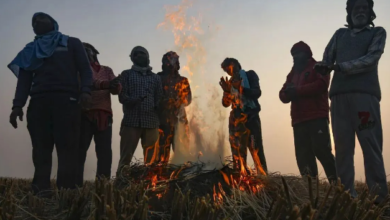 Photo of झारखंड में हाड़ कंपकंपाती ठंड जारी, कई जिलों में तापमान 4-6 डिग्री तक गिरा