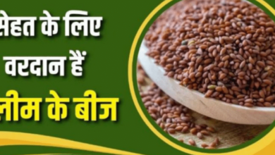 Photo of रोज हलीम के बीज खाने से शरीर में दिखेंगे 7 कमाल के बदलाव