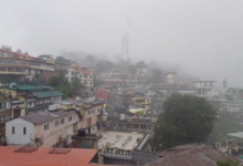Photo of आज कई जिलों में घना कोहरा छाने का यलो अलर्ट