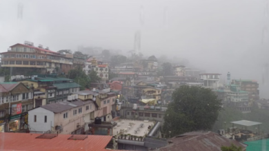 Photo of आज कई जिलों में घना कोहरा छाने का यलो अलर्ट