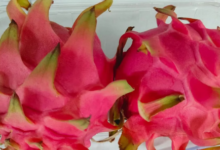 Photo of उत्तराखंड: ड्रैगन फ्रूट पर 80 प्रतिशत सब्सिडी दे रही सरकार