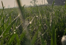 Photo of पचमढ़ी से भी ठंडा रहा इंदौर, पारा 4.1,पैतीस साल का रिकार्ड टूटा