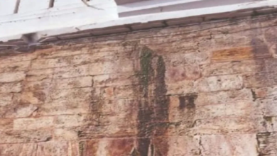 Photo of पुरी जगन्नाथ मंदिर की सुरक्षा दीवार ही असुरक्षित, दरारों से रिसता है ड्रेनेज का पानी