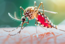 Photo of दिल्ली में डेंगू के दो और मरीजों की मौत, इस वर्ष संख्या चार हुई