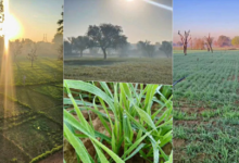 Photo of राजस्थान में कड़ाके की सर्दी का दौर, उत्तरी हवाओं से पारा 7 डिग्री तक गिरा