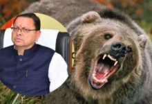 Photo of देवभूमि में भालू का आतंक !