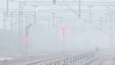 Photo of ठंड से कंपकपाया पंजाब: कोहरे के साथ चली शीत लहर से बढ़ी ठिठुरन