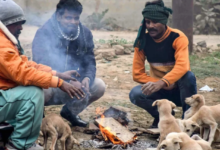 Photo of कश्मीर में माइनस 4˚C पहुंचा तापमान, दिल्ली-NCR की रफ्तार थमी; पहाड़ों पर बर्फबारी का अलर्ट जारी