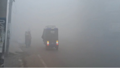 Photo of पंजाब में धुंध का कहर: दृश्यता शून्य होने से बढ़ी परेशानी, चार दिन बेहद घने कोहरे का अलर्ट