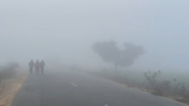 Photo of राजस्थान में कड़ाके की सर्दी जारी