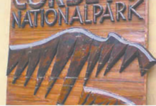 Photo of उत्तराखंड: नए साल पर कड़ी होगी वनों की सुरक्षा