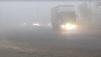 Photo of पंजाब में शीतलहर का प्रकोप: घने कोहरे में लिपटे शहर, पारा सामान्य से 1.7 डिग्री नीचे गिरा