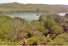 Photo of शोध में हुआ खुलासा: अरावली में खनन से दिल्ली के भूजल की गुणवत्ता बेहद खराब