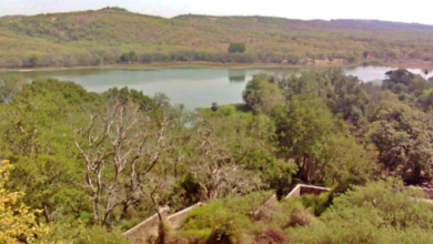 Photo of शोध में हुआ खुलासा: अरावली में खनन से दिल्ली के भूजल की गुणवत्ता बेहद खराब