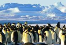 Photo of 6 महीने काम करने की सैलरी 1.31 करोड़ !