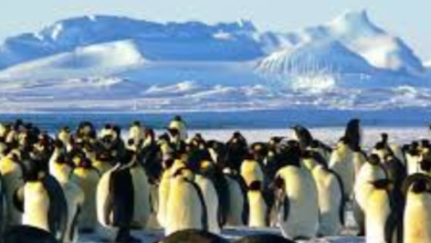 Photo of 6 महीने काम करने की सैलरी 1.31 करोड़ !