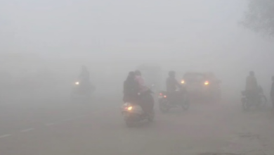 Photo of घने कोहरे की चपेट में पंजाब: दृश्यता 200 मीटर तक, न्यूनतम तापमान में गिरावट