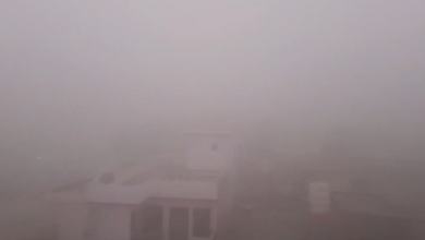 Photo of पंजाब में कोहरे की मार: 10 मीटर तक घटी दृश्यता, गिरेगा रात का पारा