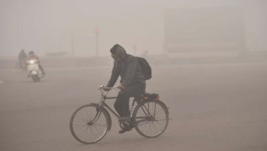 Photo of लखनऊ: पांच डिग्री तापमान के साथ कानपुर रहा सबसे ठंडा