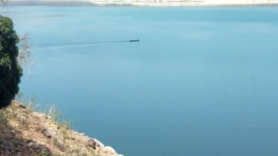 Photo of भाखड़ा डैम से गाद निकालने पर बनी सहमति